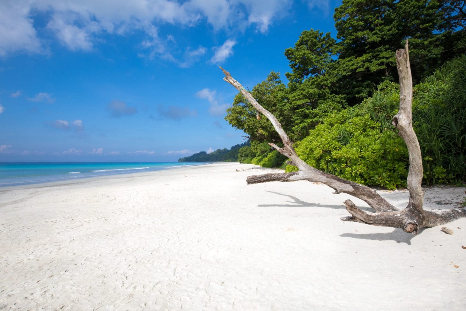 Day 2: Port Blair- Havelock- Radha Nagar Beach