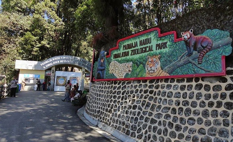 Day 04: Darjeeling Sightseeing
