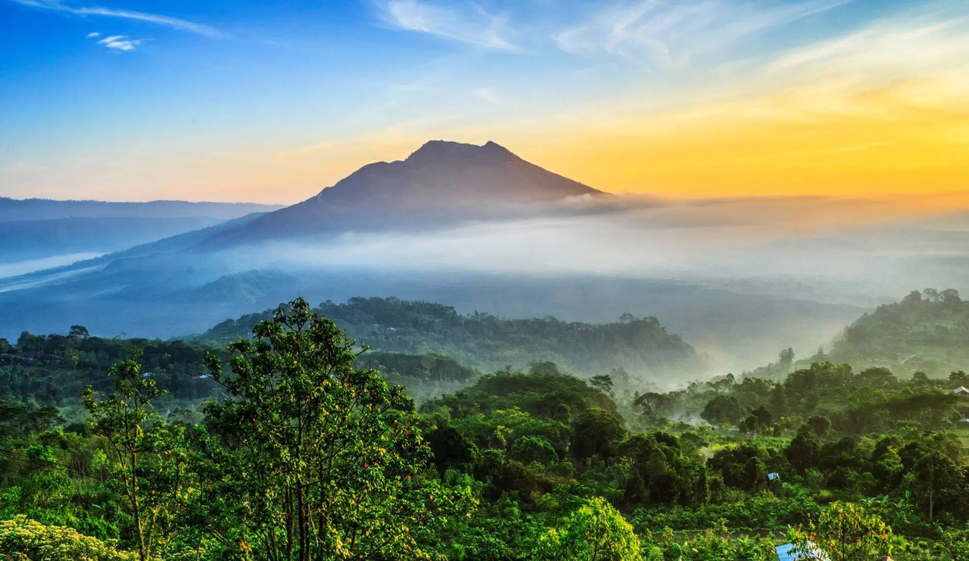Day 2: Kintamani & Ubud Tour