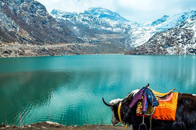 Day 02: Excursion to Tsomgo Lake & Baba Mandir